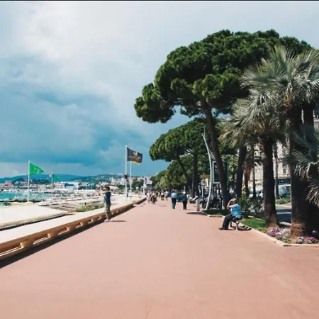 Banane Cannes